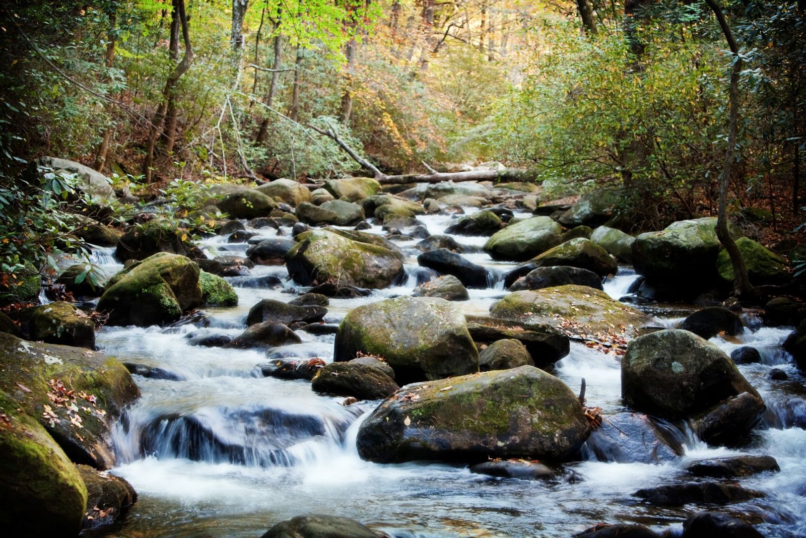 Visitors to the 3,000-acre Table Rock State Park in Pickens can enjoy cabins, a campground and hiking trails and two lakes. (Photo/Provided)