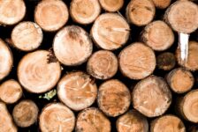 Eastover Chips is investing in a new wood chipping facility in Richland County to supply the Sylvamo paper mill, creating 27 jobs and boosting South Carolina’s forestry sector. (Photo/DepositPhotos)