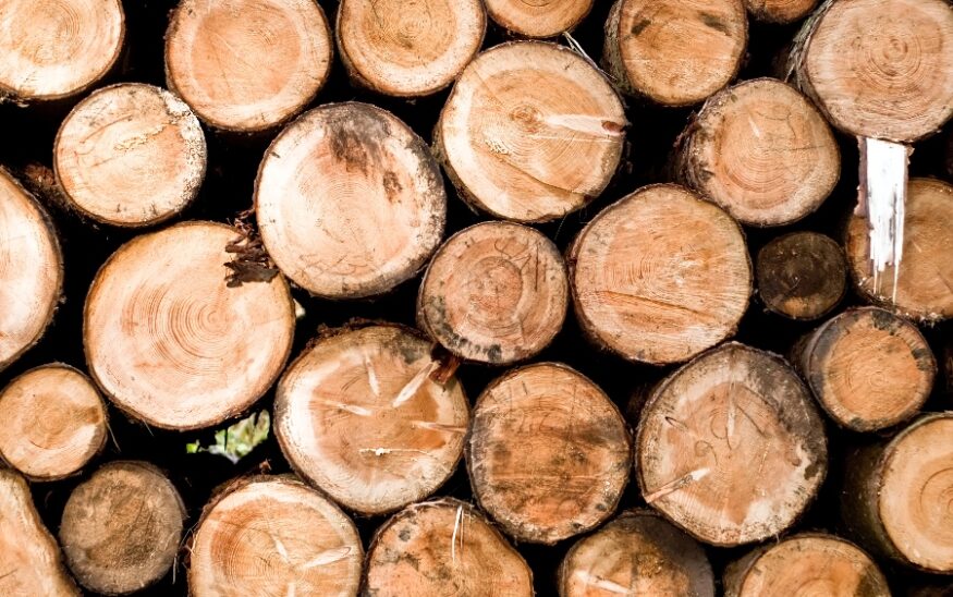 Eastover Chips is investing in a new wood chipping facility in Richland County to supply the Sylvamo paper mill, creating 27 jobs and boosting South Carolina’s forestry sector. (Photo/DepositPhotos)