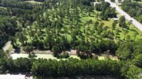Lowcountry Land Trust partners with McClellanville to preserve 1,200 feet of natural greenspace at the town’s entrance, protecting its scenic character. (Photo/Hunter Allen/Lowcountry Land Trust)