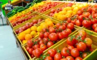 Still strapped from the effects of Hurricane Helene, South Carolina’s food banks are calling for an end to the government shutdown, warning that many will go hungry if officials don’t find a solution. (Photo/DepositPhotos)