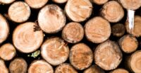 Agriculture Secretary Hugh Weathers said Mikro-Technik will be a customer for the state’s forestry industry. (Photo/DepositPhotos)