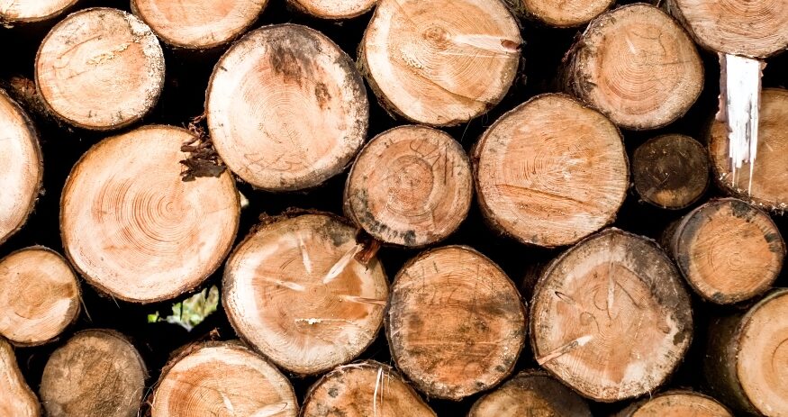 Agriculture Secretary Hugh Weathers said Mikro-Technik will be a customer for the state’s forestry industry. (Photo/DepositPhotos)