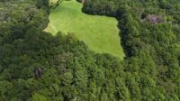 A 37-acre Johns Island property is now permanently protected after the family donated a conservation easement through Lowcountry Land Trust. (Photo/Lowcountry Land Trust)