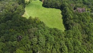 A 37-acre Johns Island property is now permanently protected after the family donated a conservation easement through Lowcountry Land Trust. (Photo/Lowcountry Land Trust)