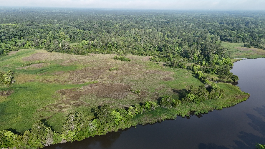 Located between the Ashley River Blue Trail and the Ashley River Heritage Trail, Lowcountry Land Trust said remnants of an 18th-century settlement of enslaved people have been discovered through archaeological studies on the Barry Tract. (Photo/Lowcountry Land Trust)