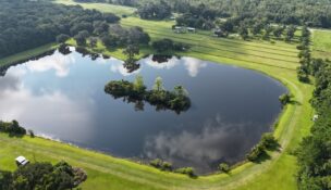 Lowcountry Land Trust secured permanent protection of 50 acres on Johns Island through a conservation easement. (Photo/Lowcountry Land Trust)