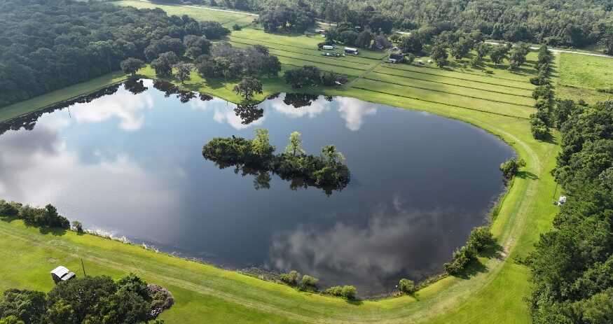 Lowcountry Land Trust secured permanent protection of 50 acres on Johns Island through a conservation easement. (Photo/Lowcountry Land Trust)