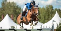 Horse Spot, a North Charleston-based equestrian software startup, received a $200,000 investment from SC Launch Inc., an affiliate of South Carolina Research Authority. (Photo/DepositPhotos)