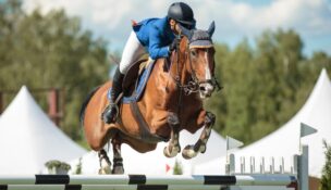 Horse Spot, a North Charleston-based equestrian software startup, received a $200,000 investment from SC Launch Inc., an affiliate of South Carolina Research Authority. (Photo/DepositPhotos)