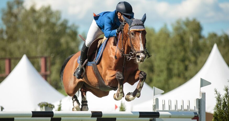Horse Spot, a North Charleston-based equestrian software startup, received a $200,000 investment from SC Launch Inc., an affiliate of South Carolina Research Authority. (Photo/DepositPhotos)