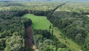The Holmes Tract on Johns Island, a six-acre property with wetlands flowing into Bohicket Creek, has been permanently protected by Lowcountry Land Trust. (Photo/Hunter Allen)