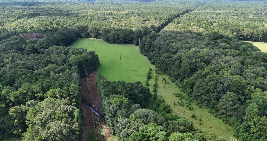 The Holmes Tract on Johns Island, a six-acre property with wetlands flowing into Bohicket Creek, has been permanently protected by Lowcountry Land Trust. (Photo/Hunter Allen)