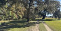 Lowcountry Land Trust permanently protected H&H Farm on Wadmalaw Island through a donated conservation easement preserving farmland and wildlife habitat. (Photo/Lowcountry Land Trust)