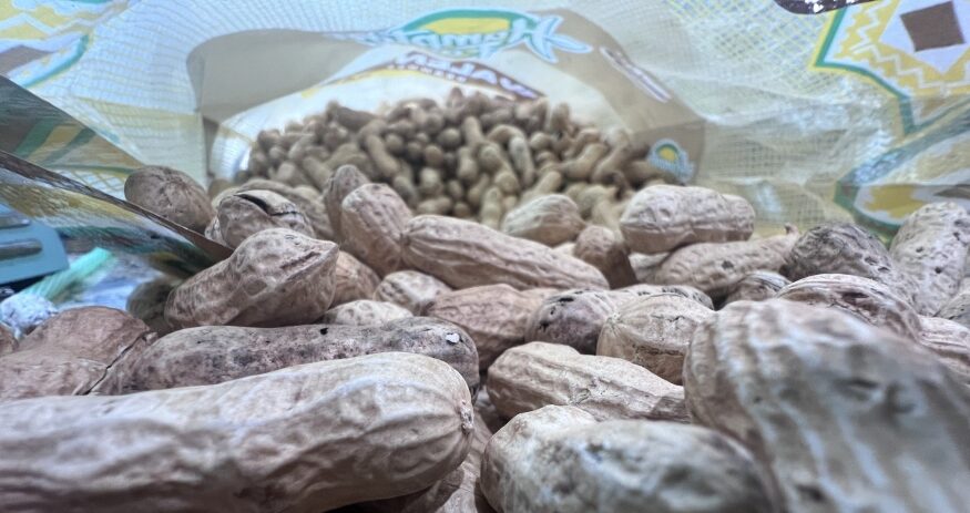 Premium Peanut celebrated the opening of a new peanut shelling facility in Santee, the state's first peanut shelling operation. (Photo/Ross Norton)