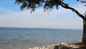 Berkeley County opened six public boat ramps and expanded trailer parking at Atkins Landing ahead of the waterfront park’s full opening this summer. (Photo/Berkeley County)