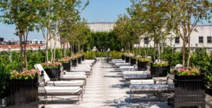 The Charleston Place has completed the latest phase of its $150 million renovation, introducing a new Club Level, rooftop pool and extensively renovated guest accommodations in downtown Charleston. (Photo/The Charleston Place)