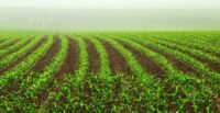 The South Carolina Institute of Medicine and Public Health and the SC Roadmap have released a new toolkit aimed at strengthening the state's food system, supporting farmers and improving public health. (Photo/DepositPhotos)