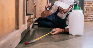 Aruza Pest Control has acquired Charleston-based Core Pest Solutions, expanding its customer base and service offerings in South Carolina. (Photo/DepositPhotos)