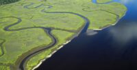 Lowcountry Land Trust leaders announced the successful completion of the "It Can't Wait Campaign," raising more than $10.3 million to expand conservation efforts across coastal South Carolina. (Photo/Green Eyes Aero)