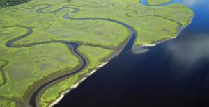 Lowcountry Land Trust leaders announced the successful completion of the "It Can't Wait Campaign," raising more than $10.3 million to expand conservation efforts across coastal South Carolina. (Photo/Green Eyes Aero)