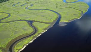 Lowcountry Land Trust leaders announced the successful completion of the "It Can't Wait Campaign," raising more than $10.3 million to expand conservation efforts across coastal South Carolina. (Photo/Green Eyes Aero)