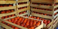 UFP Packaging plans to invest $5.31 million and create 136 jobs at its new Gaffney, where it will contribute to the company’s manufacture of wood pallets and crates, corrugated boxes, structural steel packaging, and horticulture racks. (Photo/DepositPhotos)