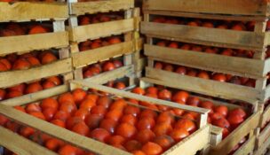 UFP Packaging plans to invest $5.31 million and create 136 jobs at its new Gaffney, where it will contribute to the company’s manufacture of wood pallets and crates, corrugated boxes, structural steel packaging, and horticulture racks. (Photo/DepositPhotos)