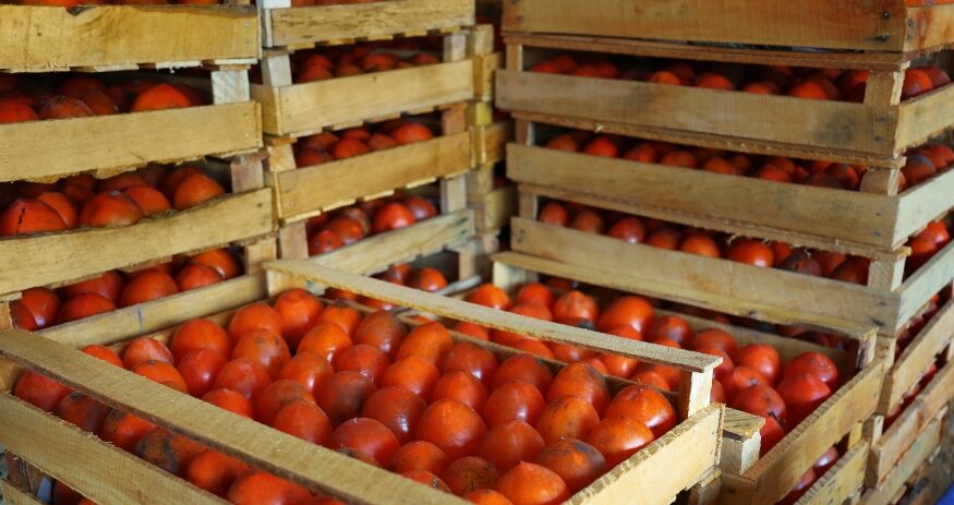 UFP Packaging plans to invest $5.31 million and create 136 jobs at its new Gaffney, where it will contribute to the company’s manufacture of wood pallets and crates, corrugated boxes, structural steel packaging, and horticulture racks. (Photo/DepositPhotos)